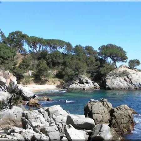 For Eight Guests Villa San Ciprian dels Alls